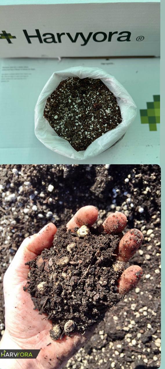 Adenium Energizer (1kg) & Potting Mixture (1Kg) Combo (CODE - AEPOC)