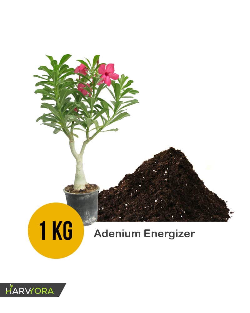 Adenium Energizer (ADE1000) 1kg